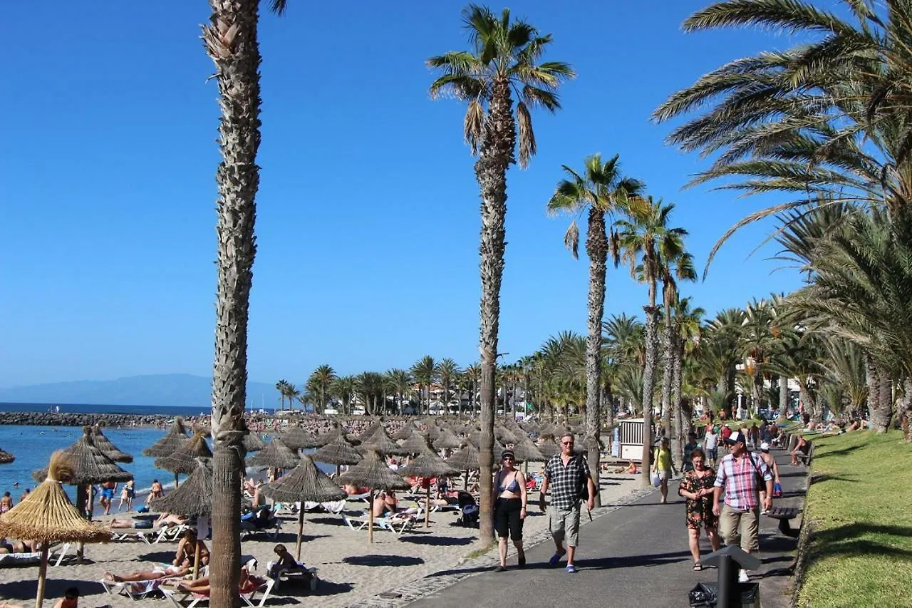 Surfers Paradise At Playa Las Americas Apartment Playa de las Americas  0*, Playa de las Americas (Tenerife)